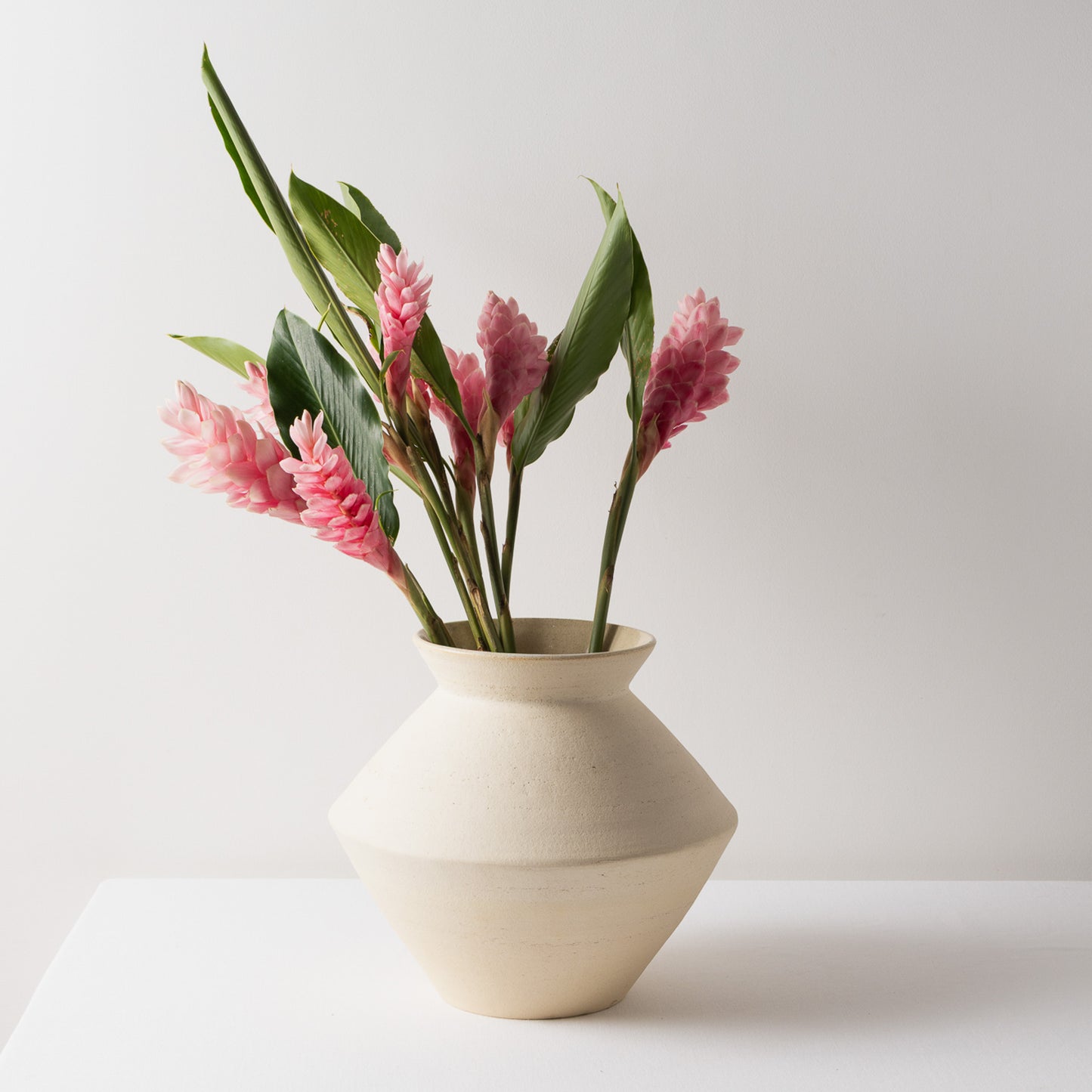 Florero Orgánico Geométrico - Barro Expuesto